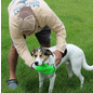 TiCK MiTT TiCK MiTT Microfiber Tick Remover for Dogs & Cats, Green