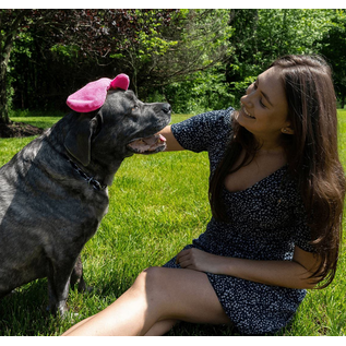 TiCK MiTT TiCK MiTT Microfiber Tick Remover for Dogs & Cats, Pink