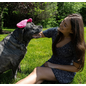 TiCK MiTT TiCK MiTT Microfiber Tick Remover for Dogs & Cats, Pink