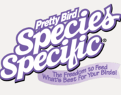 PRETTY BIRD INTERNATIONAL INC