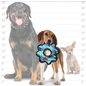 TUFFY JR GEAR RING BLUE CAMO