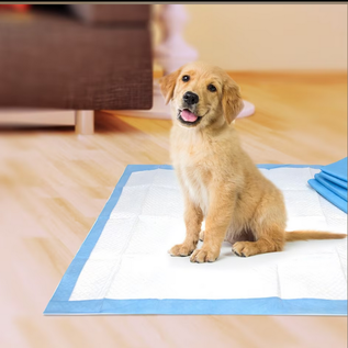 Four Paws Wee-Wee Superior Performance Dog Pee Pads 22 in X 23 in Box (100 ct)