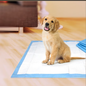 Four Paws Wee-Wee Superior Performance Dog Pee Pads 22 in X 23 in Box (100 ct)
