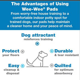 Four Paws Wee-Wee Superior Performance Dog Pee Pads 22 in X 23 in Box (100 ct)