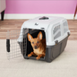 MIDWEST HOMES MidWest Skudo Standard Plastic Dog & Cat Kennel, 19-in