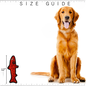 VIP TUFFY'S TUFFY OCEAN TROUT DURABLE SQUEAKY SOFT TOY RED