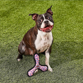 Tuffy's Junior Bowmerang Squeaky Plush Dog Toy, Pink Leopard