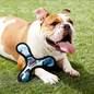 Tuffy's Junior Bowmerang Squeaky Plush Dog Toy, Camo Blue
