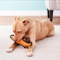 VIP TUFFY'S TUFFY OCEAN TROUT DURABLE SQUEAKY SOFT TOY RED