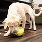 KONG KONG Rewards Tennis Treat Dispenser Dog Toy, Large