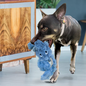 KONG KONG Scrumplez Elephant Dog Toy, Blue, Medium