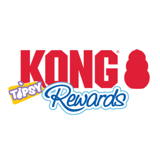 KONG KONG Rewards Tipsy Treat Dispenser Dog Toy, Large