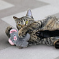 KONG KONG Cat Snuzzles Mouse