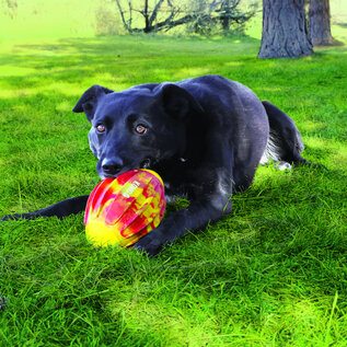 KONG KONG FLEXBALL SPORT FOOTBALL MEDIUM