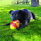 KONG KONG FLEXBALL SPORT FOOTBALL MEDIUM