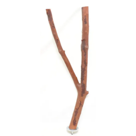 JT-621 Forked Ribbonwood Perch (assorted sizes)