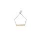 A&E CAGE COMPANY A & E Cages Economy Swing Small, 3 in