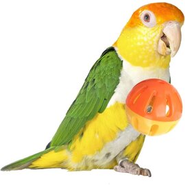 SUPER BIRD CREATIONS Super Bird SB-1055 - 2" Birdie Balls-4pk