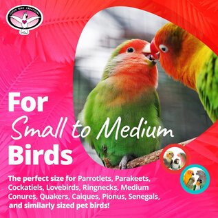 SUPER BIRD CREATIONS Super Bird SB-1055 - 2" Birdie Balls-4pk