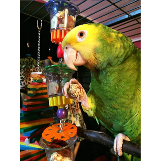 SUPER BIRD CREATIONS Super Bird SB-632 Bottom's Up Foraging Treat Toy