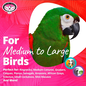 SUPER BIRD CREATIONS Super Bird SB-632 Bottom's Up Foraging Treat Toy