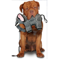 VIP PRODUCTS VIP Tuffy Emery Elephant 8 x 15 x 10 inches