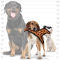 VIP TUFFY'S VIP Tuffy Giraffe Jr. 3 x 9 x 11 inches