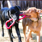 KONG COMPANY LLC KONG Tug Toy Natural Rubber Dog Toy for Outdoor & Indoor Playtime - for Medium/Large Dogs