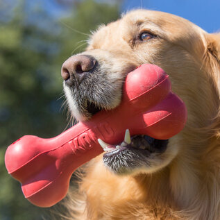 KONG COMPANY KONG Goodie Bone Dog Toy Medium