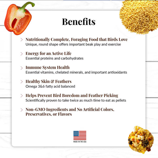 LAFEBER COMPANY Lafeber Company El Paso Nutri-Berries Small Bird Food 10 oz