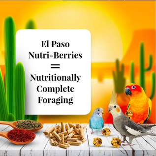 LAFEBER COMPANY Lafeber Company El Paso Nutri-Berries Small Bird Food 10 oz