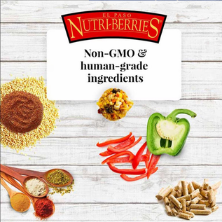 LAFEBER COMPANY Lafeber Company El Paso Nutri-Berries Small Bird Food 10 oz