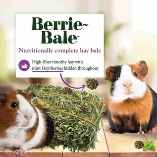 LAFEBER COMPANY Lafeber Company Berrie-Bale for Guinea Pigs Mint 1 lb