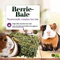 LAFEBER COMPANY Lafeber Company Berrie-Bale for Guinea Pigs Mint 1 lb