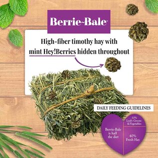 LAFEBER COMPANY Lafeber Company Berrie-Bale for Guinea Pigs Mint 1 lb