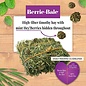 LAFEBER COMPANY Lafeber Company Berrie-Bale for Guinea Pigs Mint 1 lb