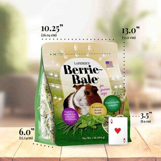 LAFEBER COMPANY Lafeber Company Berrie-Bale for Guinea Pigs Mint 1 lb