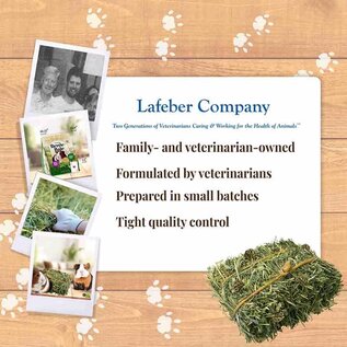 LAFEBER COMPANY Lafeber Company Berrie-Bale for Guinea Pigs Mint 1 lb