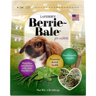 LAFEBER COMPANY Lafeber Company Berrie-Bale for Rabbit Mint 1 lb