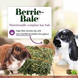 LAFEBER COMPANY Lafeber Company Berrie-Bale for Rabbit Mint 1 lb