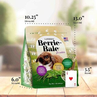 LAFEBER COMPANY Lafeber Company Berrie-Bale for Rabbit Mint 1 lb