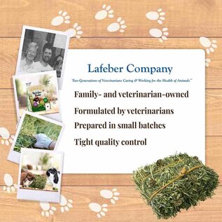 LAFEBER COMPANY Lafeber Company Berrie-Bale for Rabbit Mint 1 lb