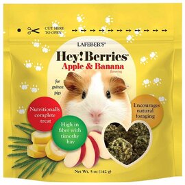 LAFEBER COMPANY Lafeber Company Hey! Berries Guinea Pig Treats Apple & Banana 5 oz