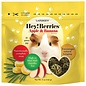 LAFEBER COMPANY Lafeber Company Hey! Berries Guinea Pig Treats Apple & Banana 5 oz