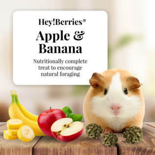 LAFEBER COMPANY Lafeber Company Hey! Berries Guinea Pig Treats Apple & Banana 5 oz