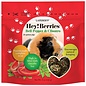 LAFEBER COMPANY Lafeber Company Hey! Berries Guinea Pig Treats Bell Pepper & Cilantro 5 oz