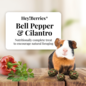 LAFEBER COMPANY Lafeber Company Hey! Berries Guinea Pig Treats Bell Pepper & Cilantro 5 oz