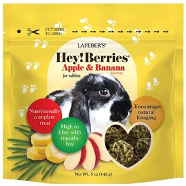 LAFEBER COMPANY Lafeber Company Hey! Berries Rabbit Treats Apple & Banana 5 oz