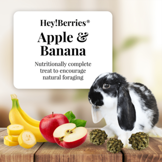 LAFEBER COMPANY Lafeber Company Hey! Berries Rabbit Treats Apple & Banana 5 oz