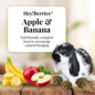LAFEBER COMPANY Lafeber Company Hey! Berries Rabbit Treats Apple & Banana 5 oz